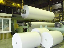 Pulp and Paper Industry 